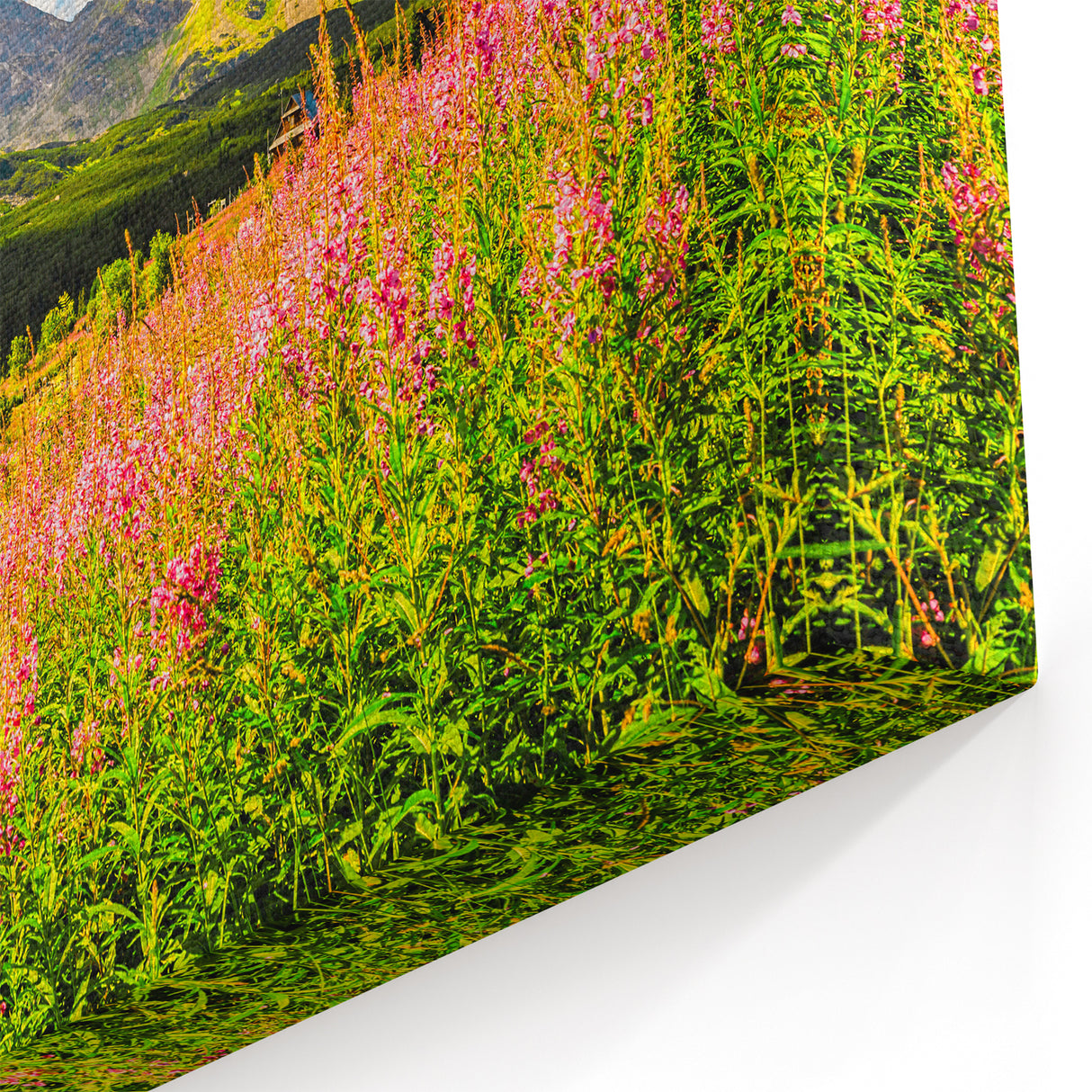 Slovakia Scenery Prints – Flower Fields and Mountains Slovakia Artwork
