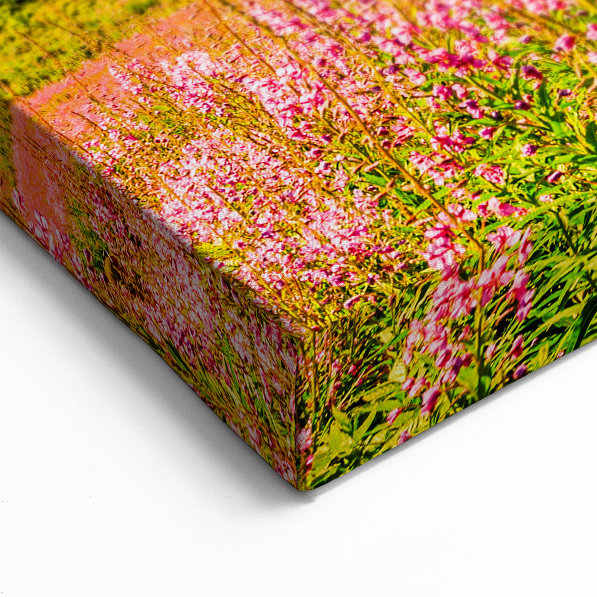 Slovakia Scenery Prints – Flower Fields and Mountains Slovakia Artwork