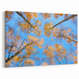 Ukraine Wall Art – Stunning Ukraine Scenery Prints on Canvas & Acrylic