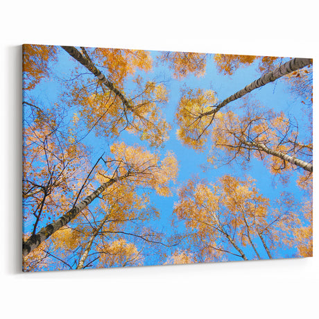 Ukraine Wall Art – Stunning Ukraine Scenery Prints on Canvas & Acrylic