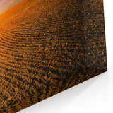 Ukraine Canvas Art – Golden Sunset Over Scenic Fields Landscape Print