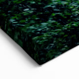 Ukrainian Art Prints – Tunnel of Love, Scenic Green Forest Wall Art