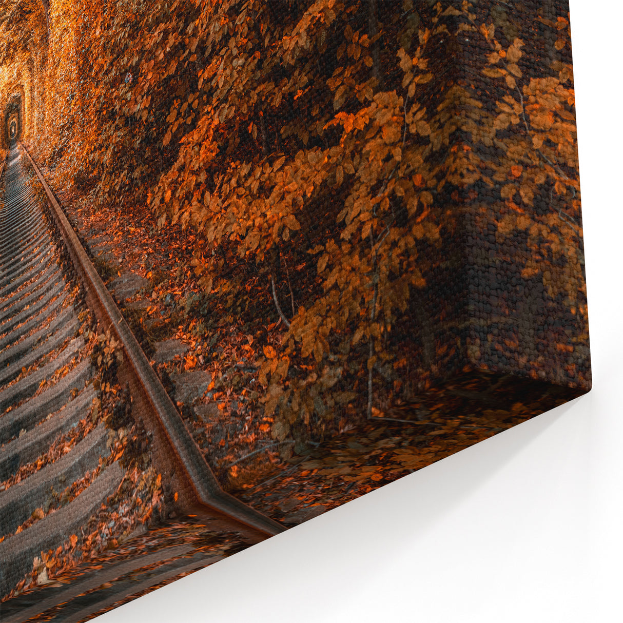Ukrainian Canvas Art – Autumn Tunnel of Love Scenic Wall Print
