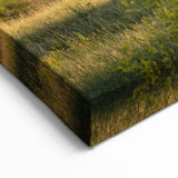 Bison Herd in Theodore Roosevelt National Park - North Dakota Scenic Art