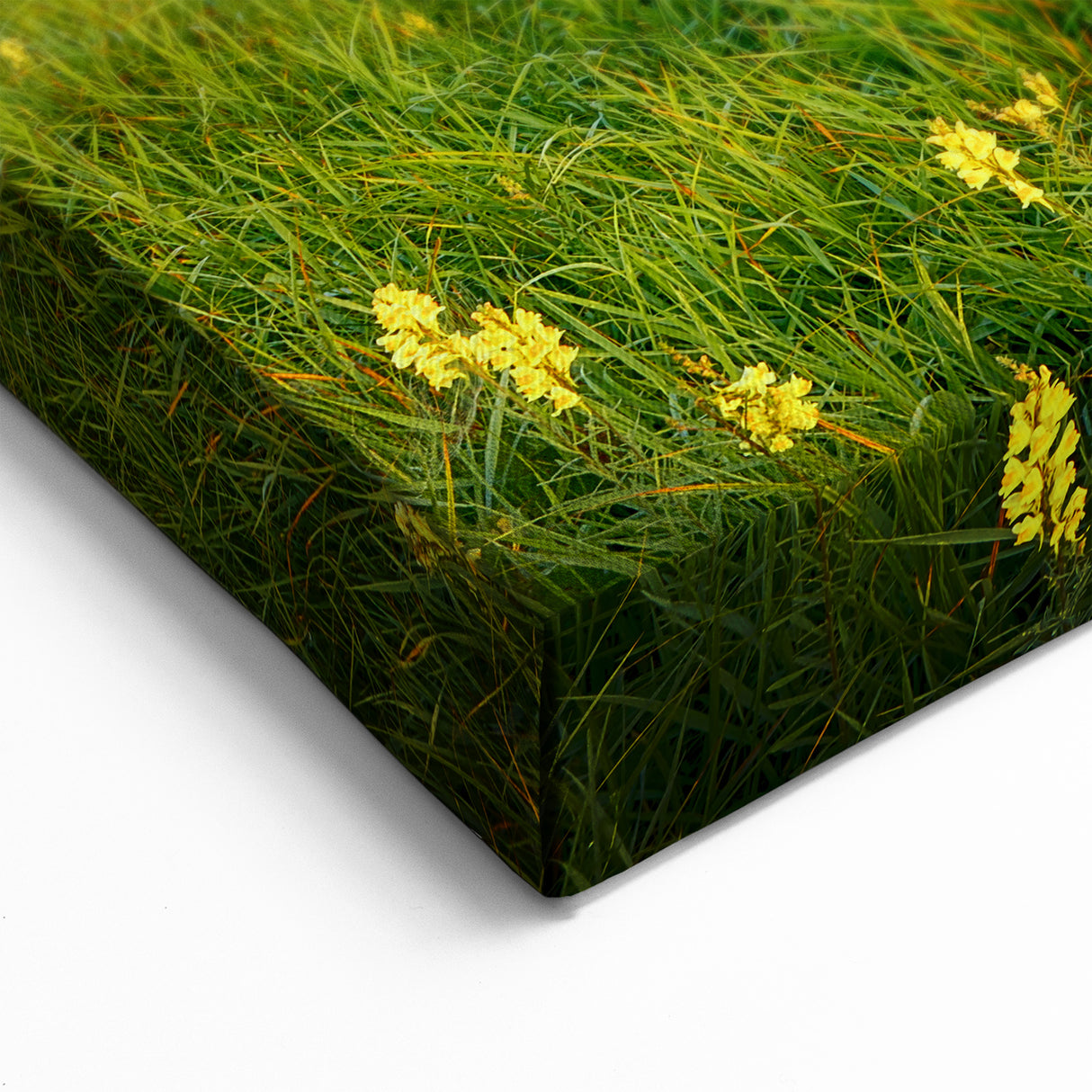 Ukraine Scenery Prints – Misty Morning Meadow with Sunrise Wall Art