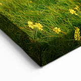 Ukraine Scenery Prints – Misty Morning Meadow with Sunrise Wall Art