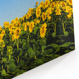 Ukraine Wall Art – Stunning Sunflower Field Ukraine Scenery Canvas Print