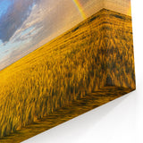 Ukraine Landscape Art – Rainbow Over Golden Field Canvas Print