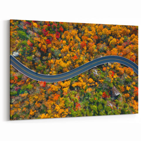 Blue Ridge Landscape Canvas – Scenic North Carolina Autumn Road Art Print