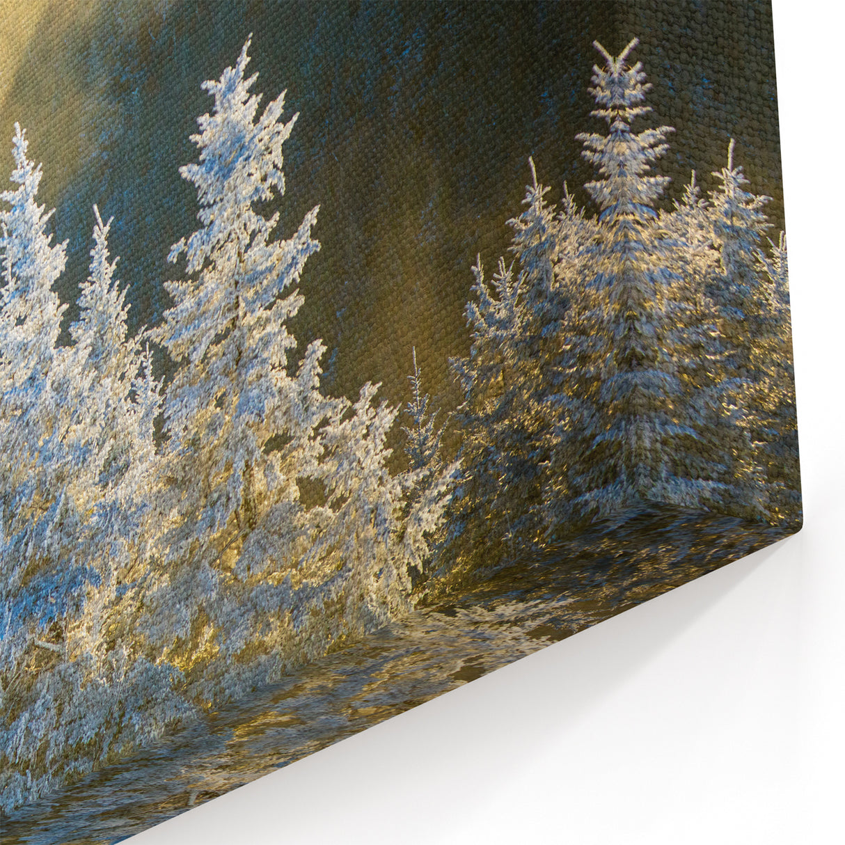 Blue Ridge Framed Art – North Carolina Frosty Pine Trees in Golden Light