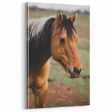 Rustic Farmhouse Art - Close-Up Horse Portrait for Rustic Wall Decor