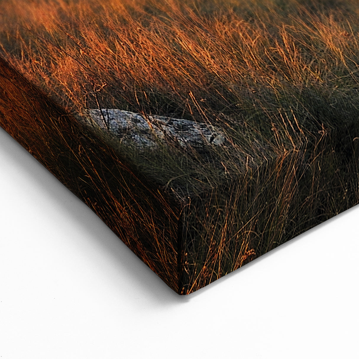 Ukrainian Art Prints – Golden River Landscape with Cloud World Map Art