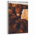 Rustic Farm Animal Wall Art - Close-Up Brown Calf for Farmhouse Decor