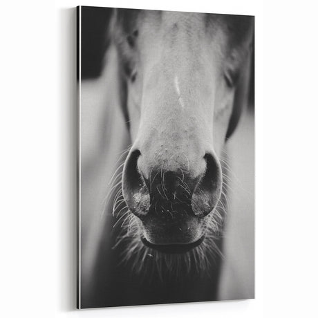 Black and White Horse Close-Up Wall Art – Rustic Farmhouse Decor