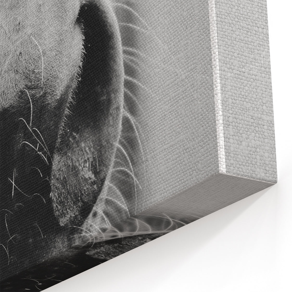 Black and White Horse Close-Up Wall Art – Rustic Farmhouse Decor