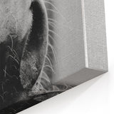 Black and White Horse Close-Up Wall Art – Rustic Farmhouse Decor