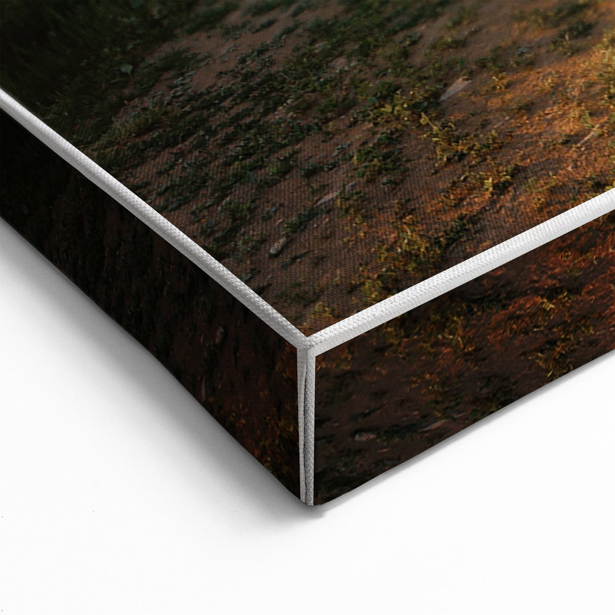 Rustic Landscape Wall Art – Peaceful Farmhouse Cabin in Golden Field