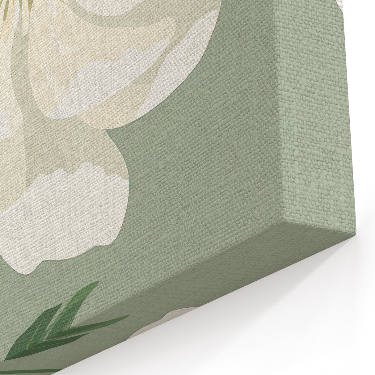 Maximalist Wall Art: Elegant White Peony on Soft Green for Serene Decor