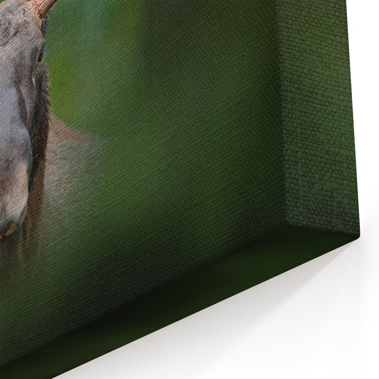 Swedish Wildlife Art - Majestic Moose in Forest Scenery