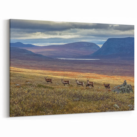 Swedish Scenery Wall Decor - Reindeer in Nordic Mountains Landscape Art