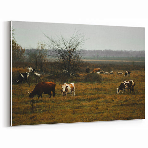 Rustic Farm Landscape Wall Art – Grazing Cows in Serene Pasture Scene