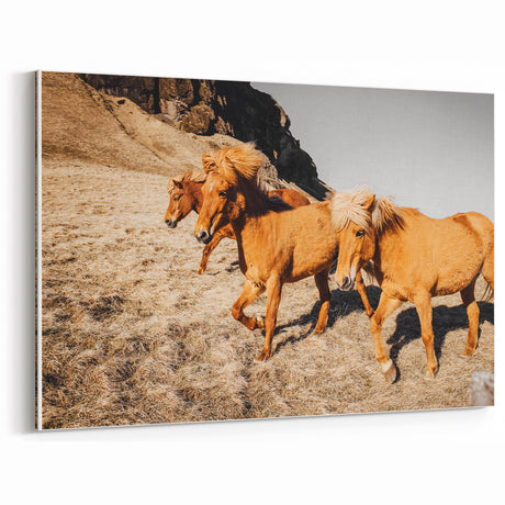 Rustic Horse Wall Art – Wild Horses Running in a Countryside Scene