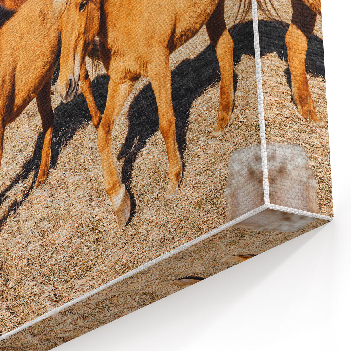 Rustic Horse Wall Art – Wild Horses Running in a Countryside Scene