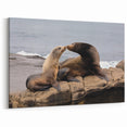 Sea Lion Family by the Shore – San Diego Coastal Wildlife Wall Art