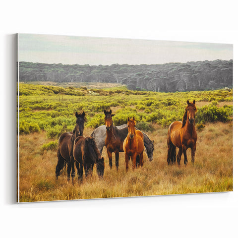 Rustic Wild Horses Wall Art – Majestic Horses Grazing in Open Field