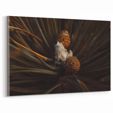 Pinecones Close-Up Rustic Wall Art – Farmhouse Nature-Inspired Decor Print