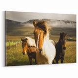 Wild Horses in Countryside Rustic Wall Art – Farmhouse Nature Decor Print