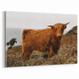 Highland Cow by the Coast Rustic Wall Art – Farmhouse Nature Decor Print
