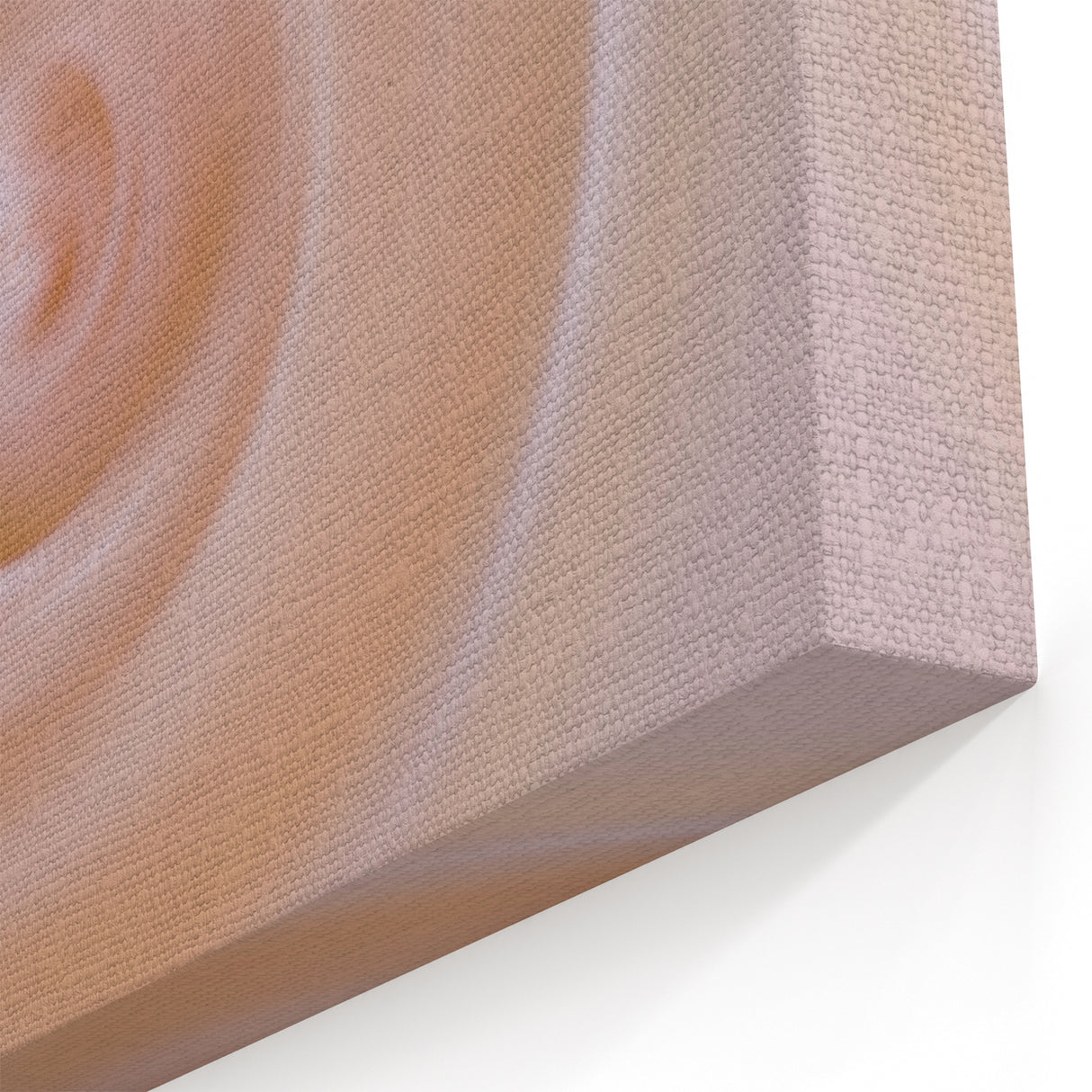 Nature-Inspired Abstract Swirl Wall Art with Soft Beige Gradients