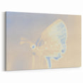 Nature-Inspired Grainy Gradients | Abstract Butterfly Textured Art