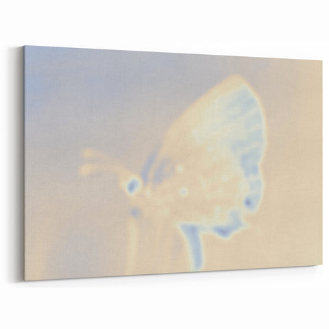 Nature-Inspired Grainy Gradients | Abstract Butterfly Textured Art