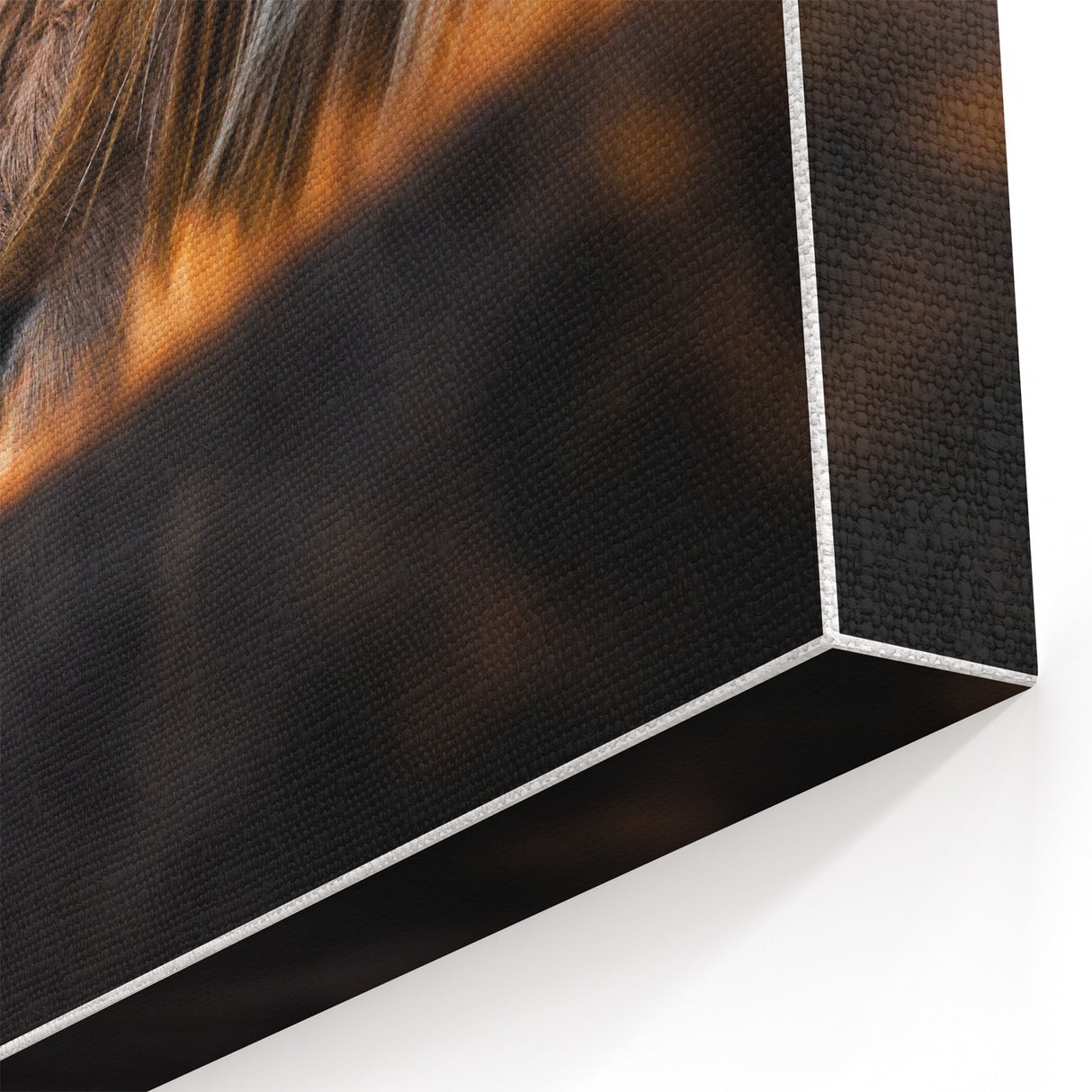 Rustic Wall Art - Close-Up of Horses with Warm Natural Lighting