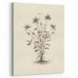 Minimalist Wall Art – Botanical Wildflower Sketch for Simple Home Decor