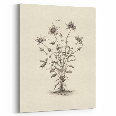 Minimalist Wall Art – Botanical Wildflower Sketch for Simple Home Decor