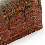 Scenic Valencia Artwork - Vineyard Sunrise Valencia Photography Print