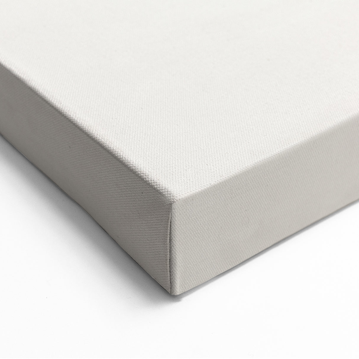 Minimalist Botanical Art Print: Simple Nature-Inspired Wall Art in Neutral Tones