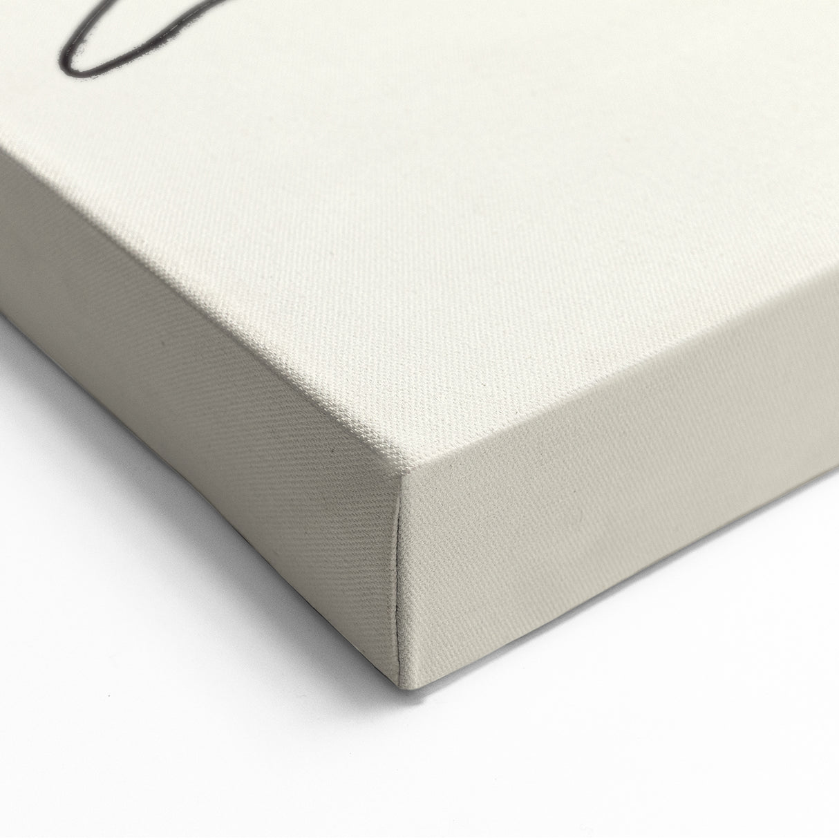 Minimalist Botanical Line Art: Elegant Abstract Leaf Design