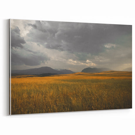 Golden Field Under Stormy Sky Wall Art | Rustic Farmhouse Decor | Nature Print