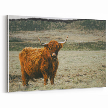 Highland Cow Rustic Wall Art | Farmhouse Decor | Vintage Nature Print