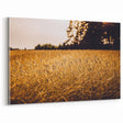 Golden Wheat Field Rustic Wall Art - Farmhouse Nature Decor for Homes