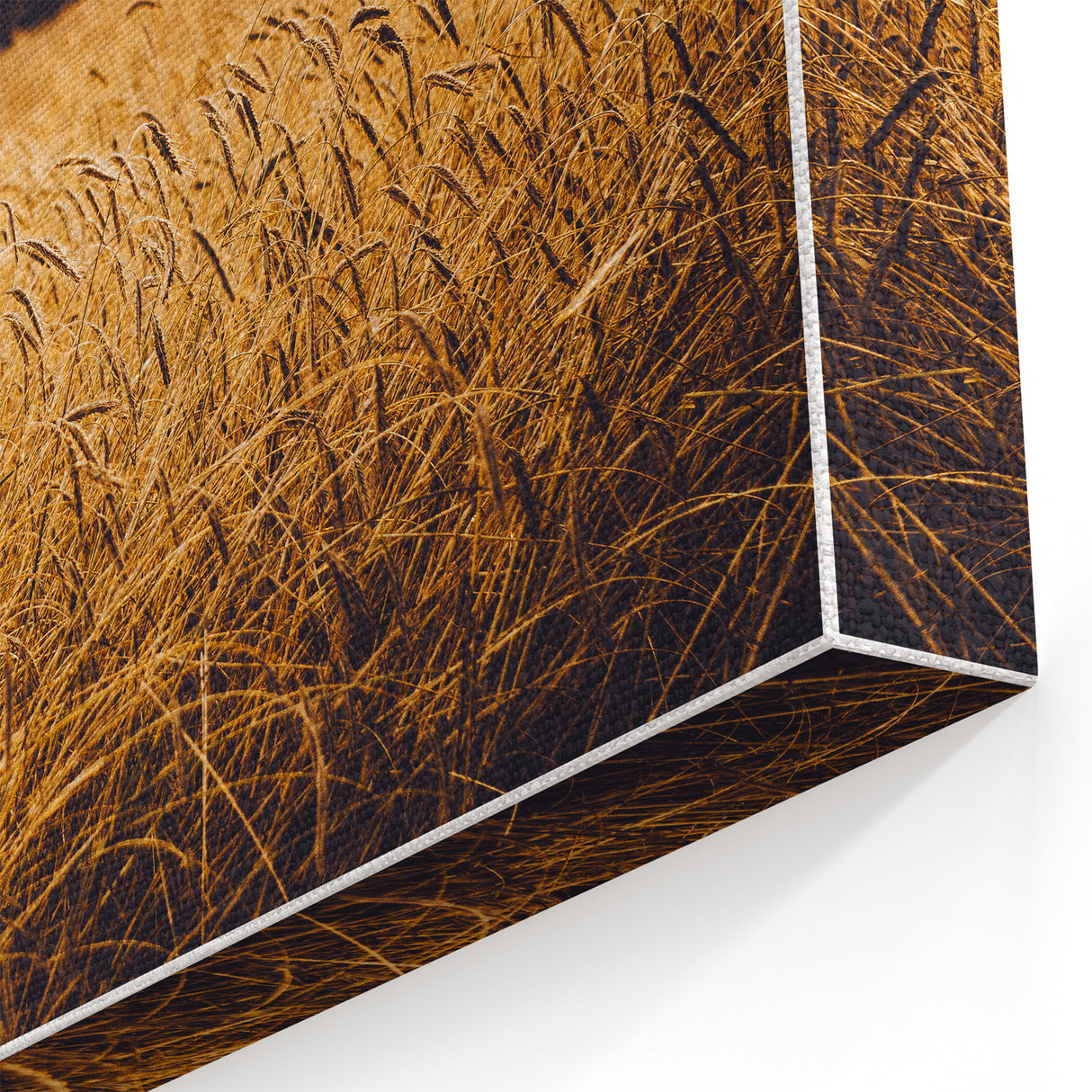 Golden Wheat Field Rustic Wall Art - Farmhouse Nature Decor for Homes