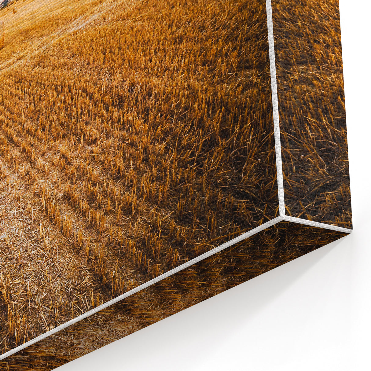 Golden Hay Bales Rustic Wall Art - Farmhouse Country Landscape Decor