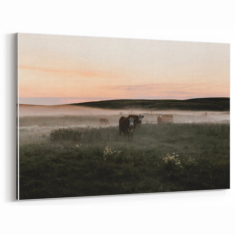 Misty Cattle at Dawn Rustic Wall Art - Farmhouse Country Decor