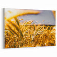 Golden Wheat Field Rustic Wall Art - Farmhouse Decor for Cozy Spaces