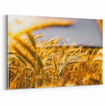Golden Wheat Field Rustic Wall Art - Farmhouse Decor for Cozy Spaces