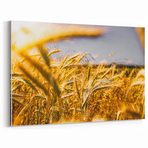 Golden Wheat Field Rustic Wall Art - Farmhouse Decor for Cozy Spaces